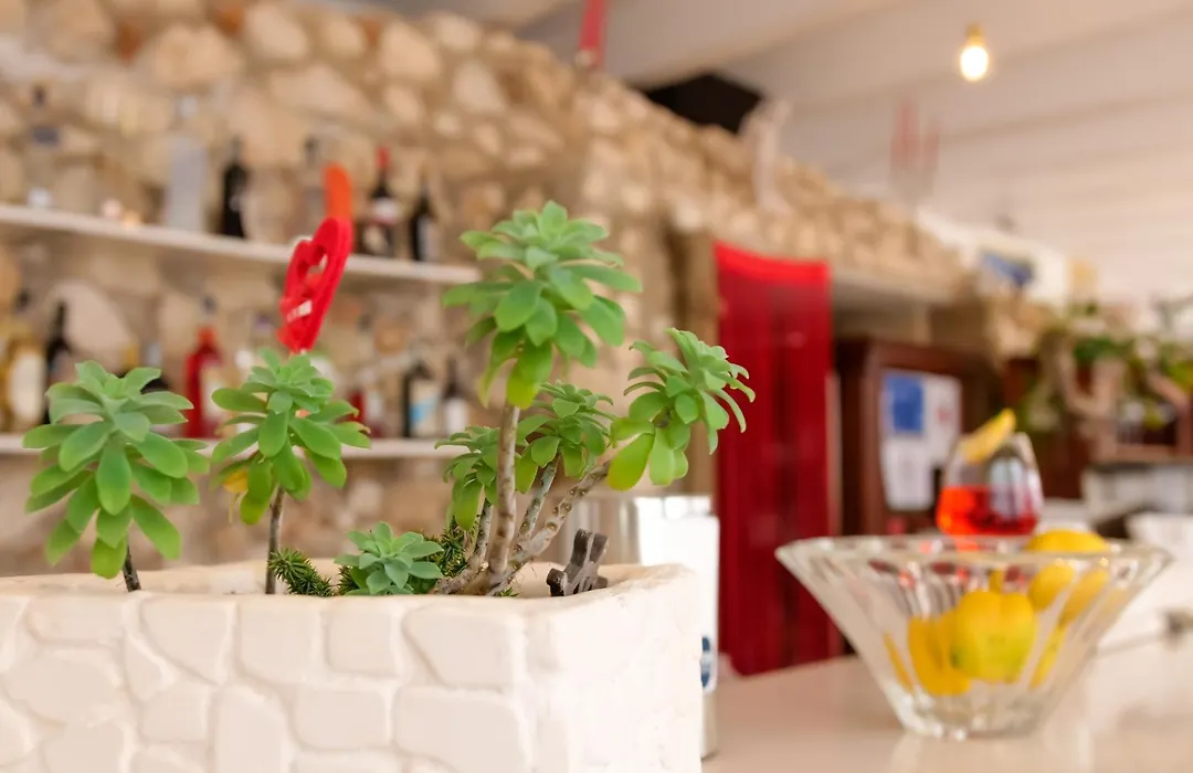 Max Luxury Suite - Servizio Spiaggia Inclusa-1