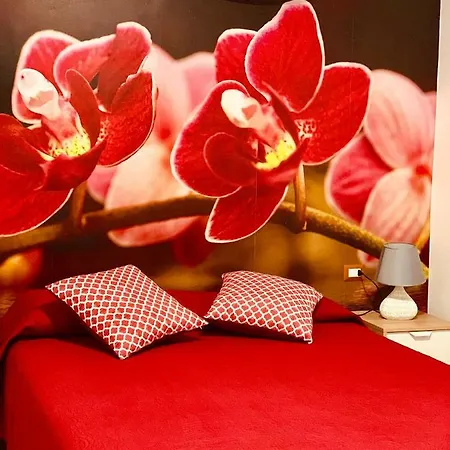 B&B Di Fiore-3